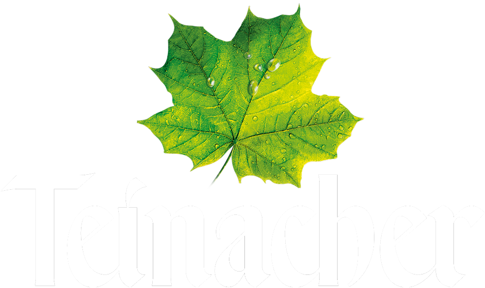 Logo Teinacher